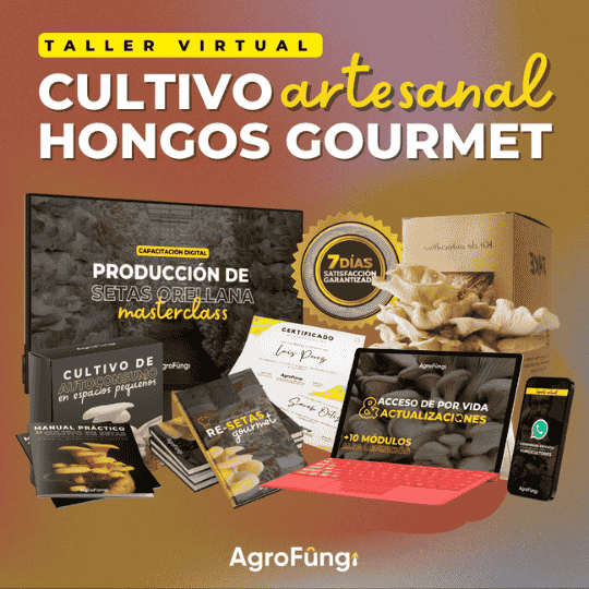 Diseño sin título (19)